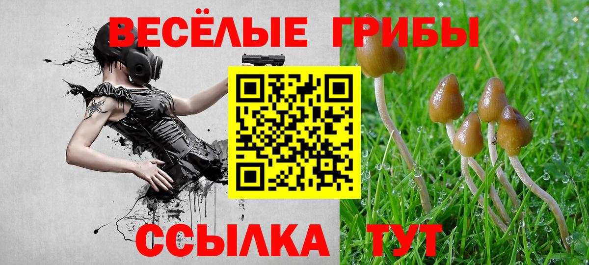 Галлюциногенные грибы мухоморы Нововоронеж