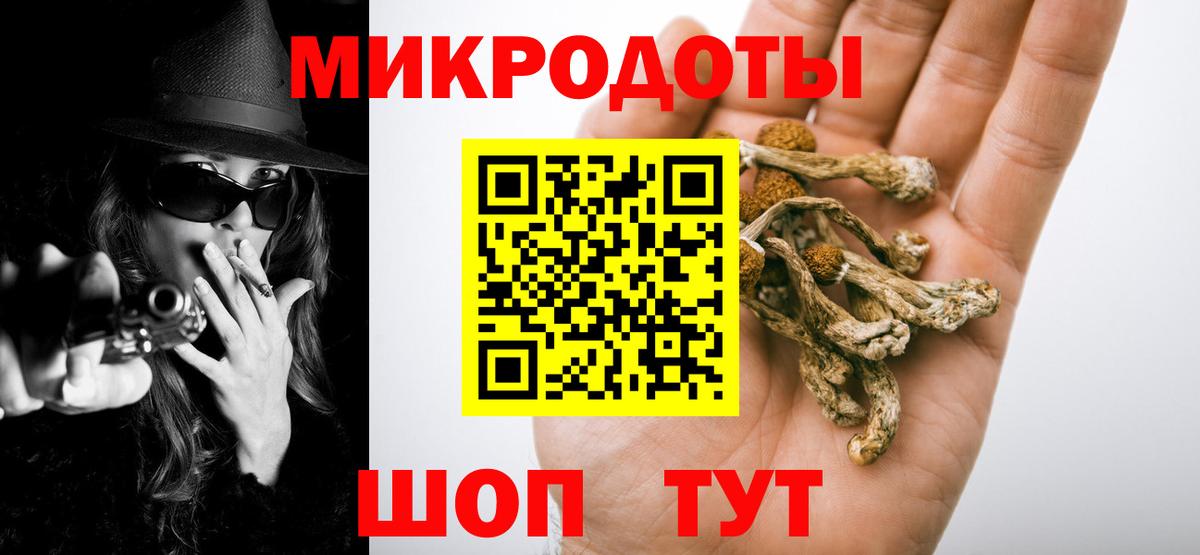 Галлюциногенные грибы мицелий  Псилоцибиновые грибы мицелий  Вход с VPN  Нововоронеж 